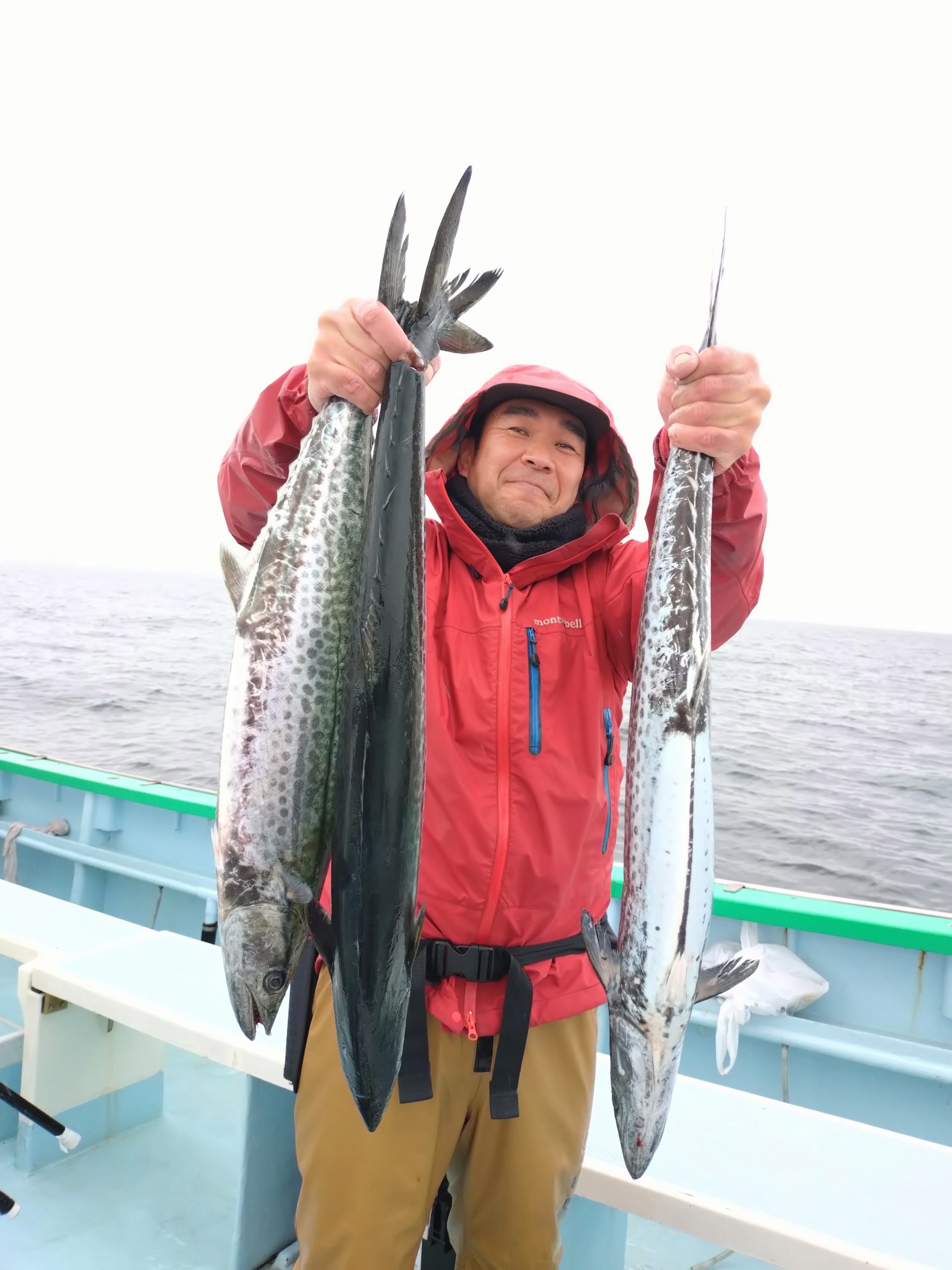 ルアー青物五目船