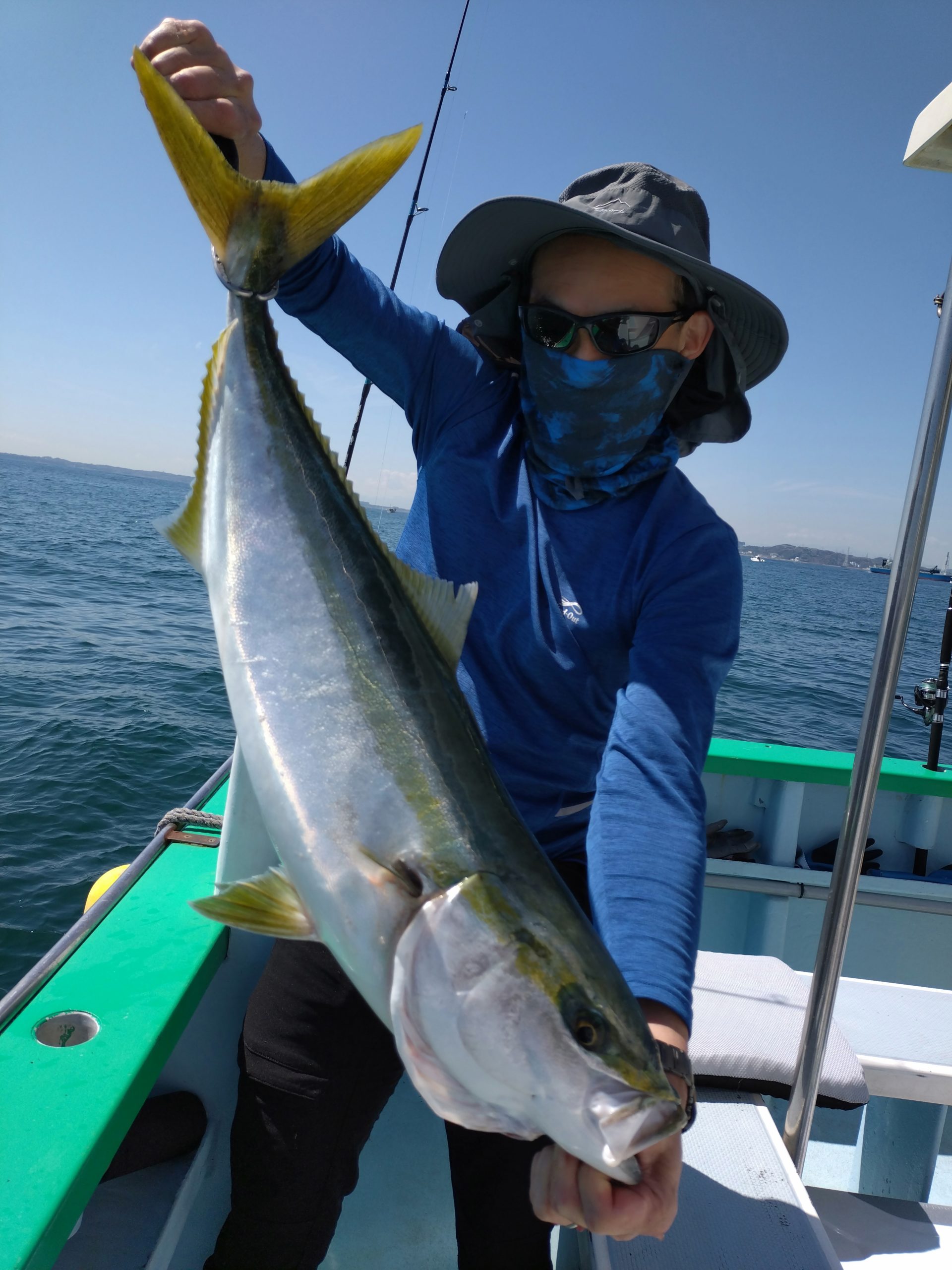 ルアー青物五目船