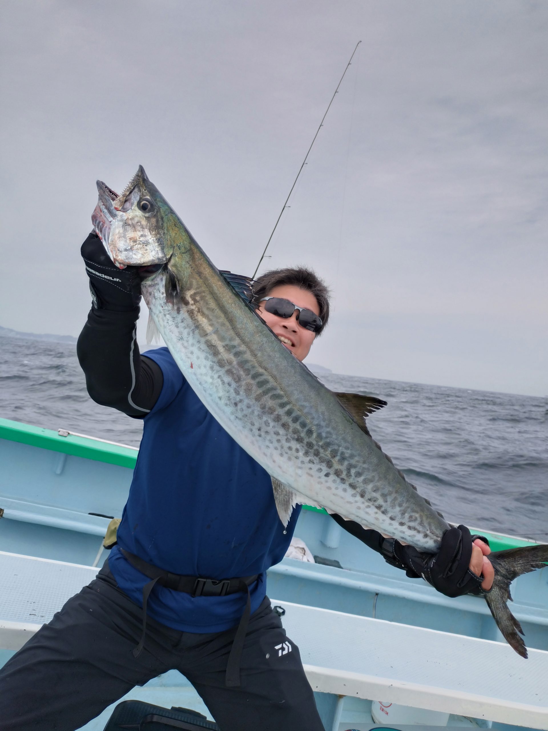 ルアー青物五目船